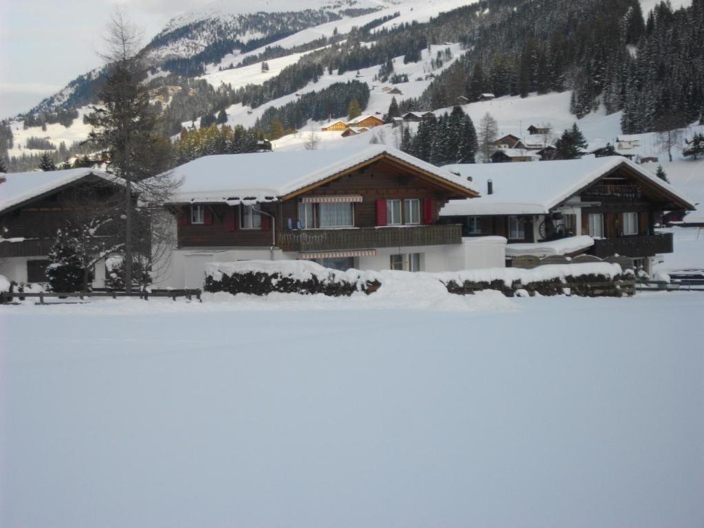 Chalet Aloa Apartment Adelboden Exterior photo